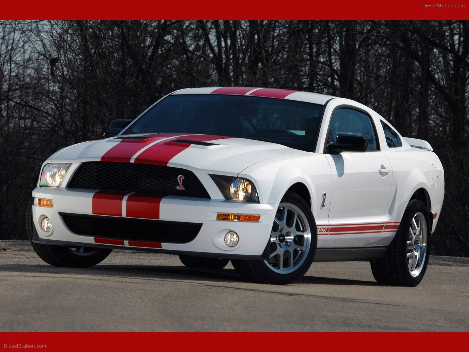 Ford Shelby Cobra GT500 Red Stripe